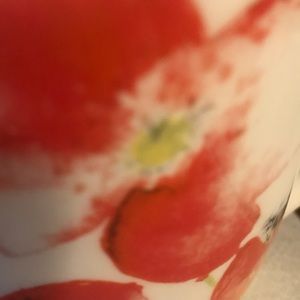 Meet your Posher, Diane